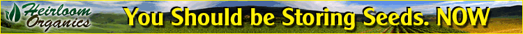 Non-Hybrid Open Pollinated Non-GMO Seeds
