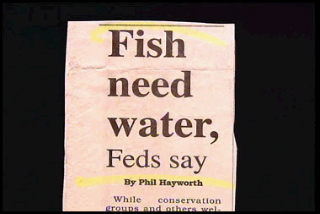 image008 23.jpg