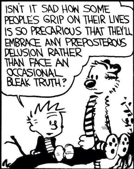 Calvin Hobbes
